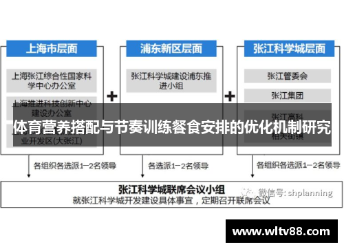 体育营养搭配与节奏训练餐食安排的优化机制研究